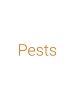 Pests