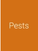 Pests