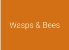 Wasps & Bees